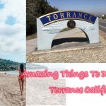 Amazing Things To Do In Torrance California