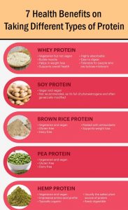 7 Health Benefits of Different Types of Protein 2 7 Health Benefits on Taking Different Types of Protein