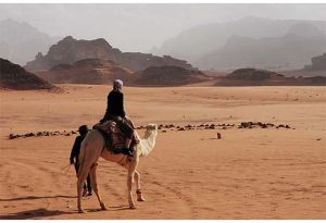 Camel Safari in Dubai
