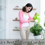 Indias Best Balcony Garden Plants