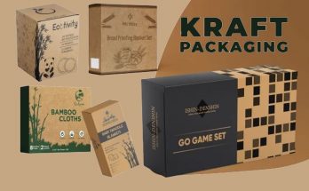Kraft Packaging the Dynamics of Eco Friendliness