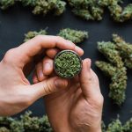 Buying the Best Flowers with a Fast Weed Delivery in Woodstock