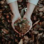 Role Of Gardening And Lawn Care In human Life