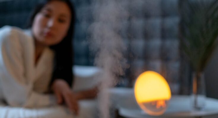 Tips to Maintain Humidifier for Room