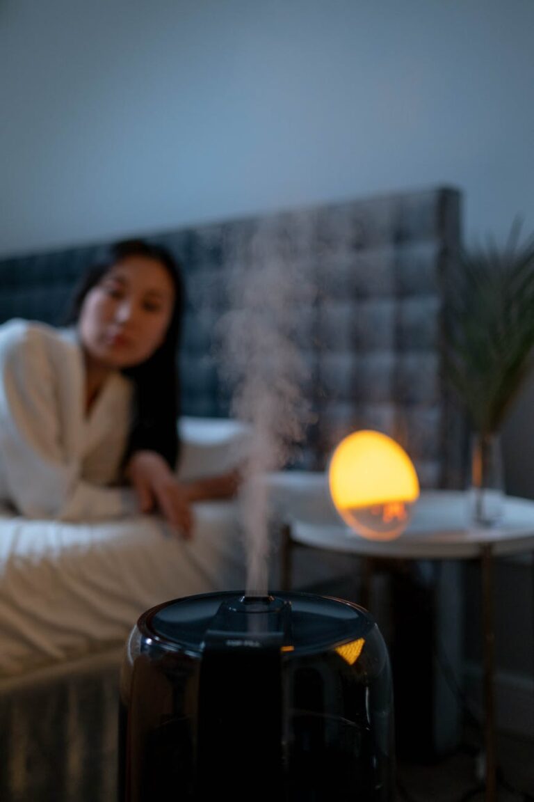 Tips to Maintain Humidifier for Room