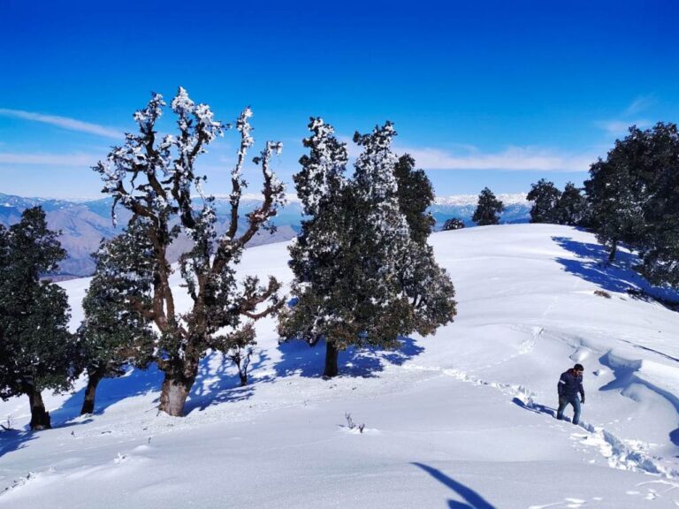 NAG TIBBA 2021 THE SHORT TREK IN UTTARAKHAND