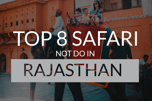 Top 8 Safari in Rajasthan – Travel Places in India