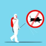 Get Rid of Most Insects Around Your Home