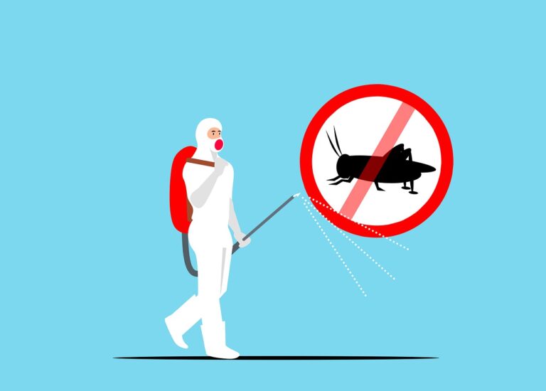 Get Rid of Most Insects Around Your Home