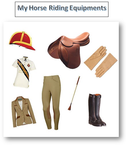 My Horse Riding Equipments