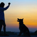 Paws for Applause: Celebrating Your Furry Friend on National Dog Day 3 dog traine