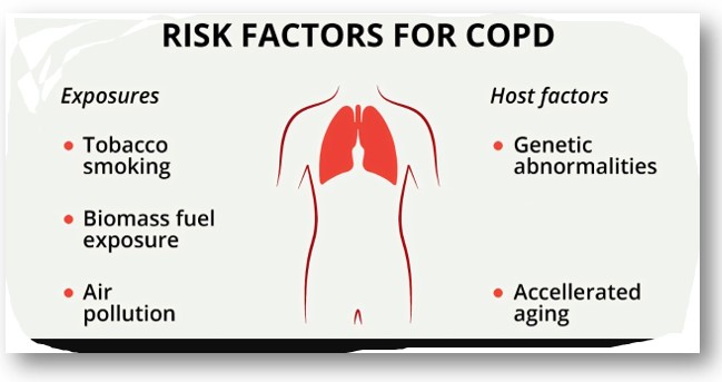 Risk factor for COPD