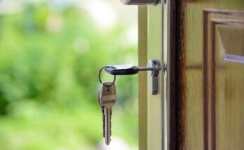 How to Maintain Your Property Value