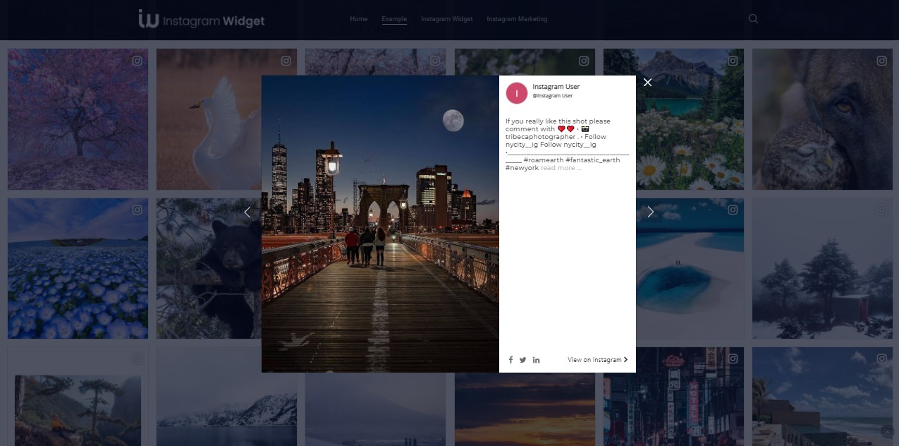 How to choose the best Instagram Widget for website?