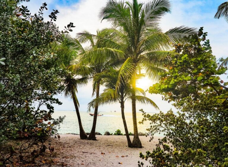 Ultimate 2022 Miami Travel Guide