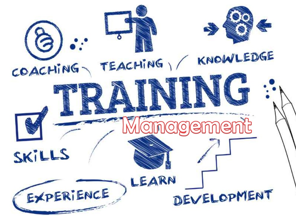 Management Training Program