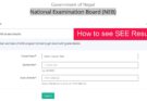 how to see SEE result