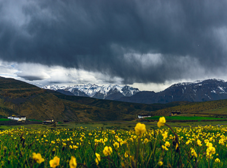 valley of Flowers Trek