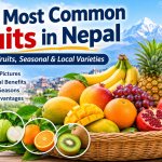 Common King of Fruits in Nepal