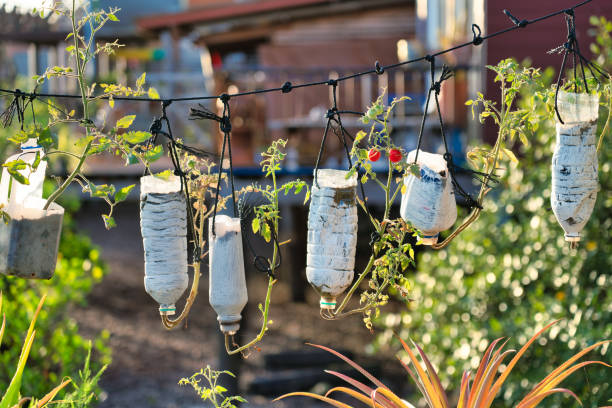 08 Up-cycled Planter Ideas that are Easy to Make