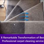 Best Professional carpet cleaning service