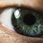 Nurturing Clear Vision: Myopia Correction through Ancient Wisdom 3 Myopia Correction through Ancient Wisdom