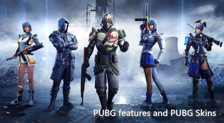 PUBG features and PUBG Skins