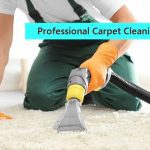 Professional Carpet Cleaning Services