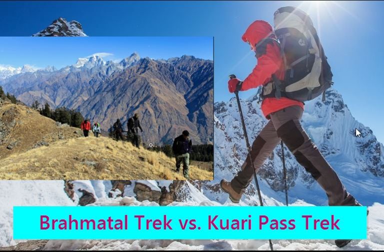 Brahmatal Trek vs. Kuari Pass Trek