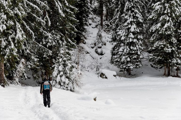 Best Winter Treks