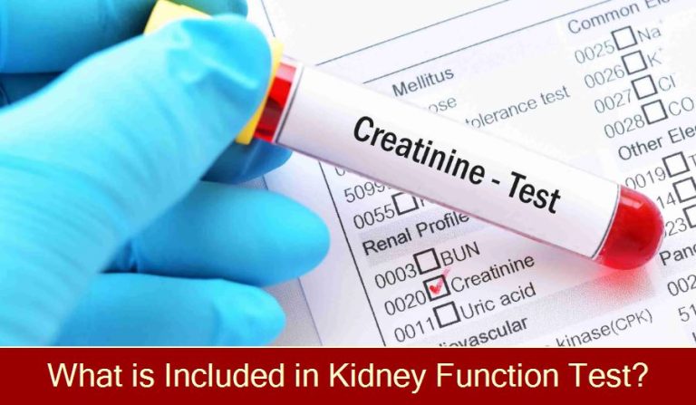 What is Included in Kidney Function Test? 5 What is Included in Kidney Function Test