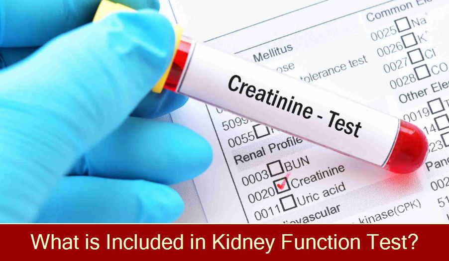 What is Included in Kidney Function Test?