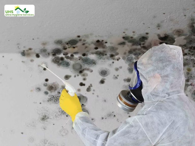 mold assessment company Miami