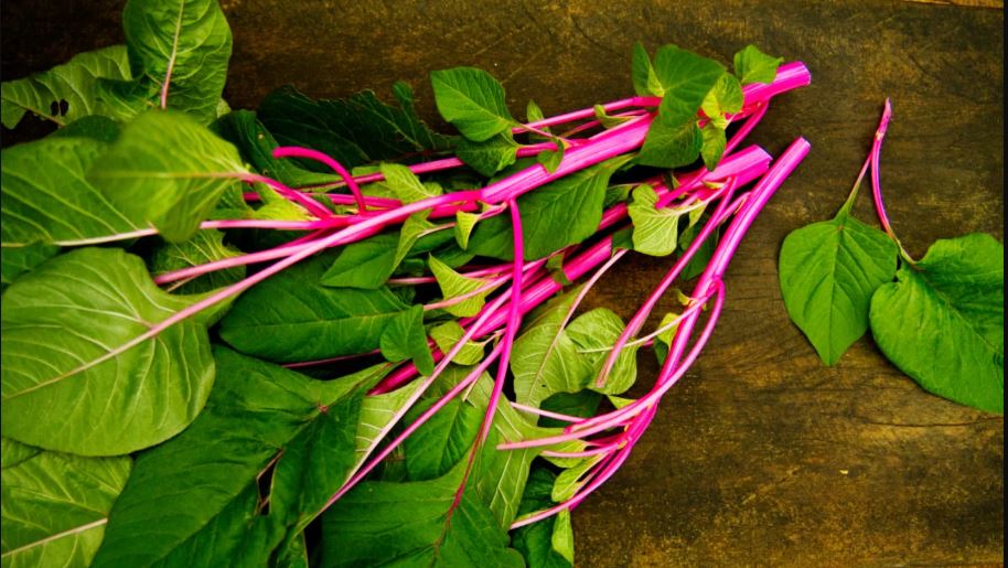 Amaranth Greens health benefits