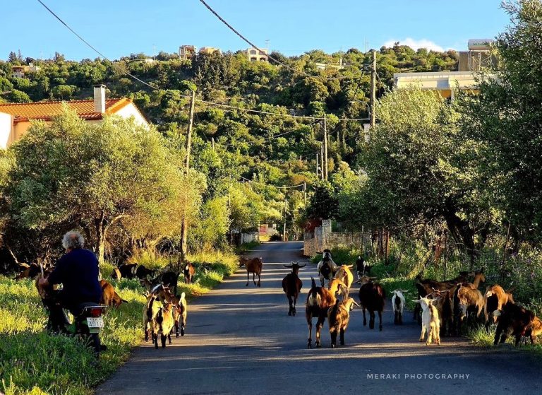 439227085 18430592038027392 4747610758834937478 n