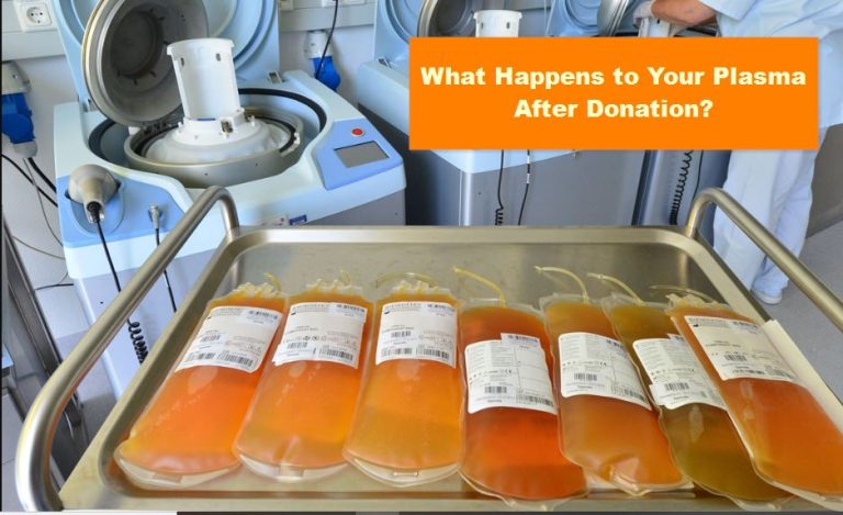 What Happens to Your Plasma After Donation