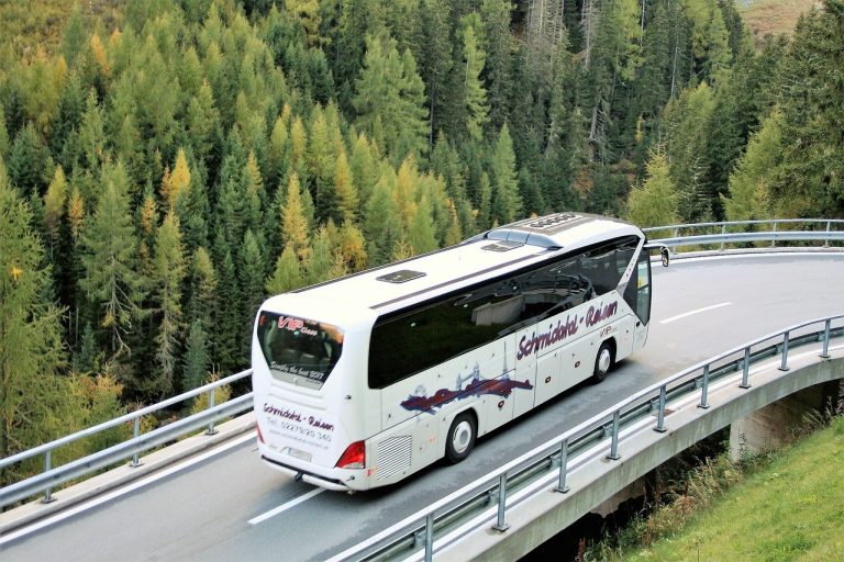 Why a Sightseeing Bus Is the Best Way to See the Blue Mountains 5 Why a Sightseeing Bus Is the Best Way to See the Blue Mountains