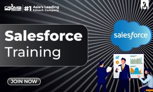 Salesforce Flow Best Practices