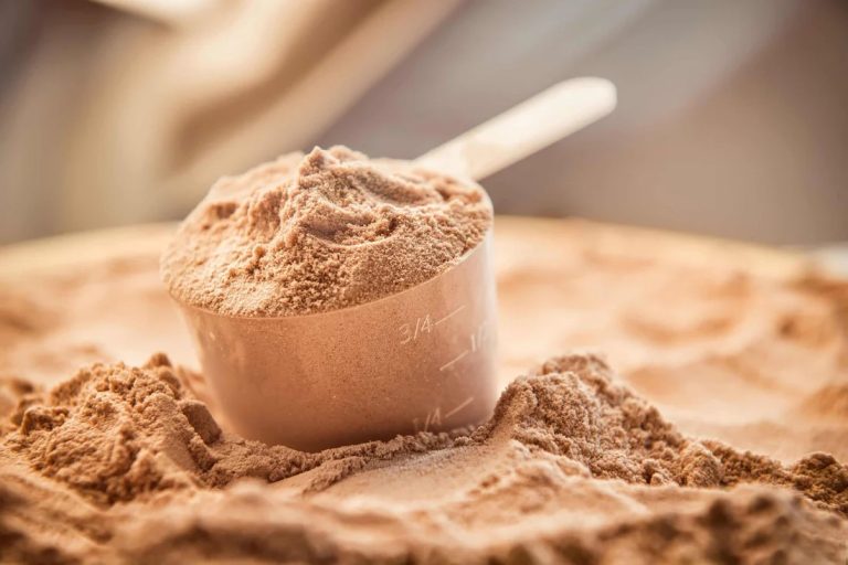 best protein powder for women