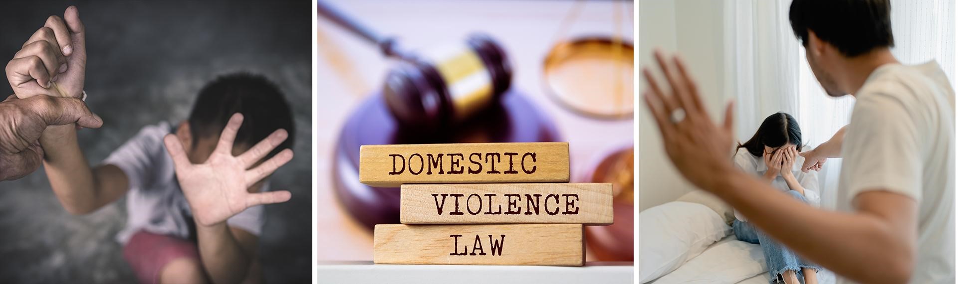 Domestic Assault Lawyer