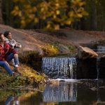 Sydney Attractions For A Digital Detox