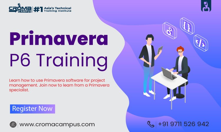 Primavera P Training primavera p relationships advanced scheduling logic diagram