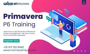 What Is Primavera P6