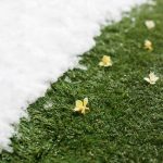 artificial grass australian home backyard benefits