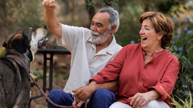 travel insurance senior citizens essential guide