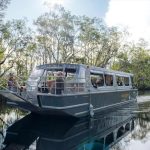 Guests enjoying the sights from a Noosa River Cruise