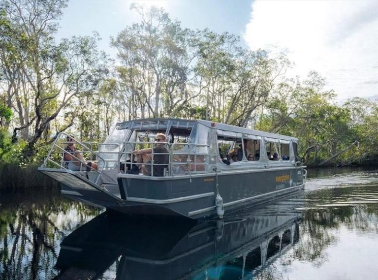Guests enjoying the sights from a Noosa River Cruise