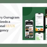 Professional UIUX Design Agency