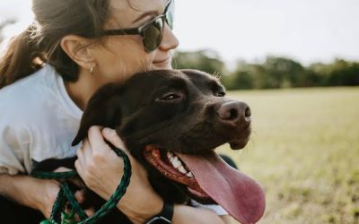 The Benefits of Choosing Pet Euthanasia at Home in Adelaide Over Clinic Visits