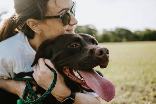 The Benefits of Choosing Pet Euthanasia at Home in Adelaide Over Clinic Visits